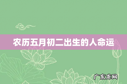 农历五月初二出生的人命运