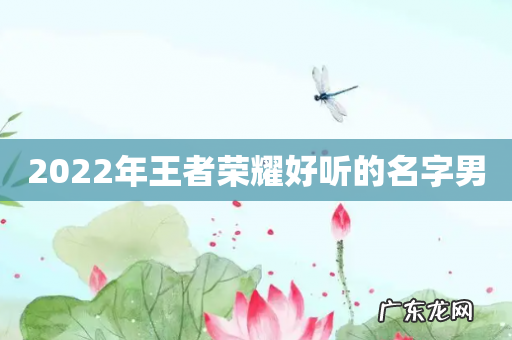 2022年王者荣耀好听的名字男