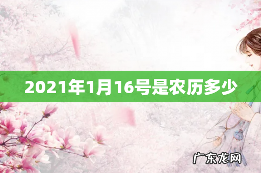 2021年1月16号是农历多少