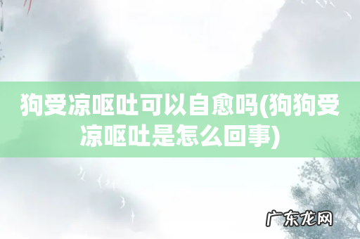 狗狗受凉呕吐是怎么回事 狗受凉呕吐可以自愈吗