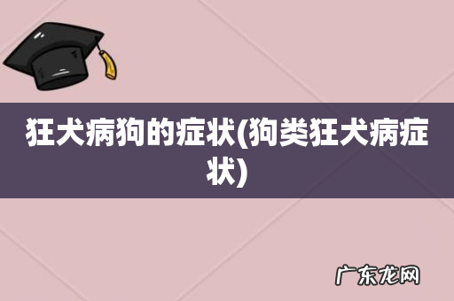狗类狂犬病症状 狂犬病狗的症状