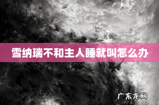 雪纳瑞不和主人睡就叫怎么办