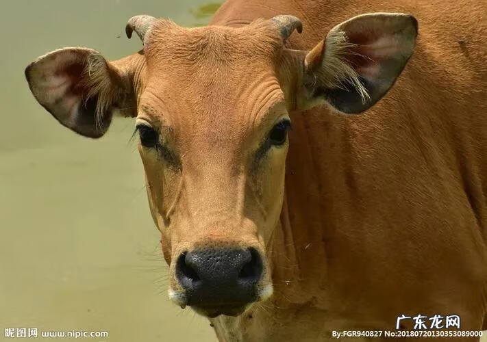 小孩取名 小孩命名字