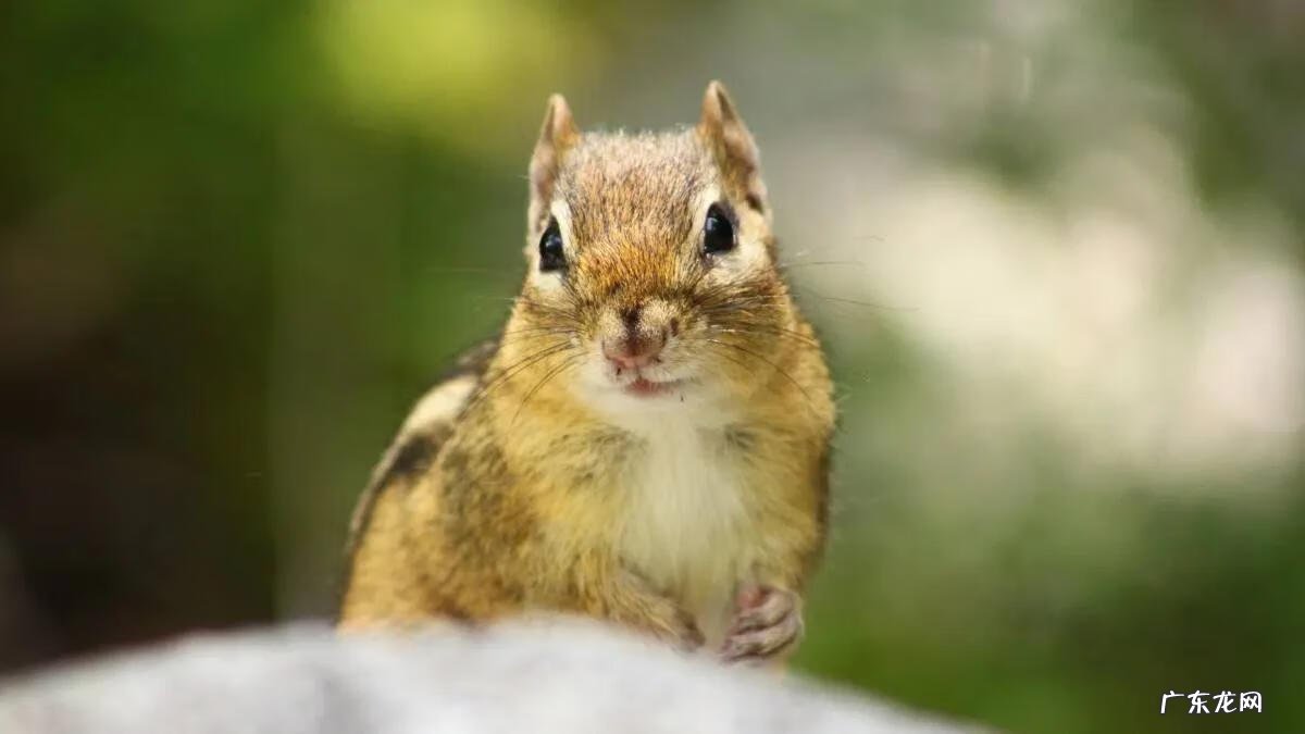 小孩取名 小孩命名字
