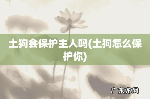 土狗怎么保护你 土狗会保护主人吗