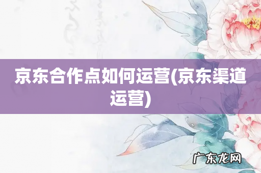 京东渠道运营 京东合作点如何运营