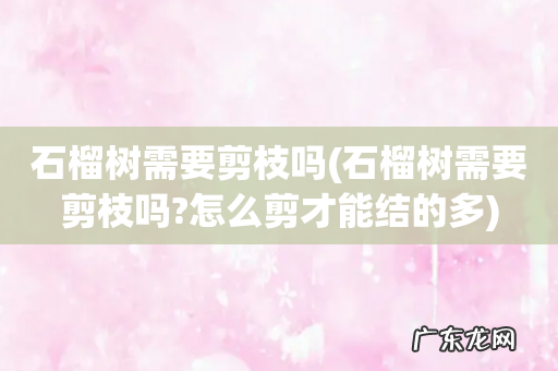 石榴树需要剪枝吗?怎么剪才能结的多 石榴树需要剪枝吗