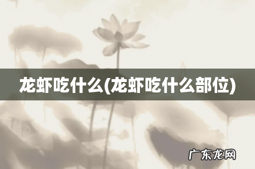 龙虾吃什么部位 龙虾吃什么