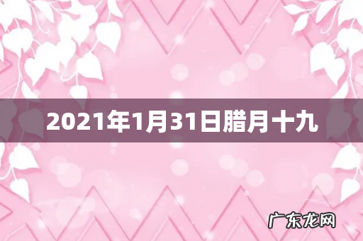 2021年1月31日腊月十九
