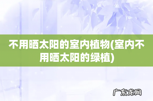 室内不用晒太阳的绿植 不用晒太阳的室内植物