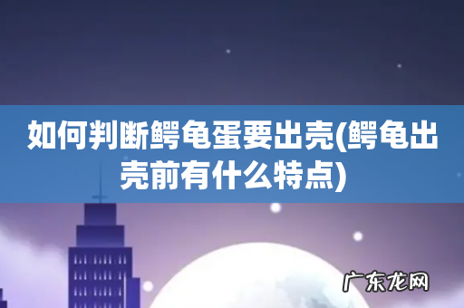 鳄龟出壳前有什么特点 如何判断鳄龟蛋要出壳