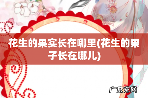 花生的果子长在哪儿 花生的果实长在哪里