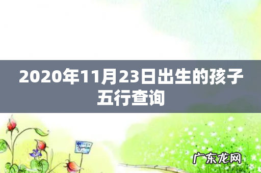 2020年11月23日出生的孩子五行查询