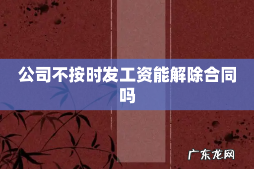 公司不按时发工资能解除合同吗