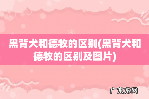 黑背犬和德牧的区别及图片 黑背犬和德牧的区别