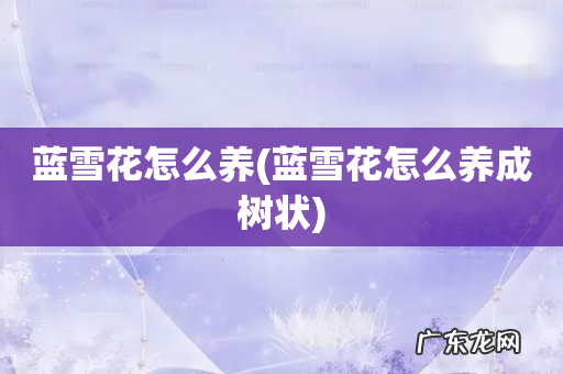 蓝雪花怎么养成树状 蓝雪花怎么养