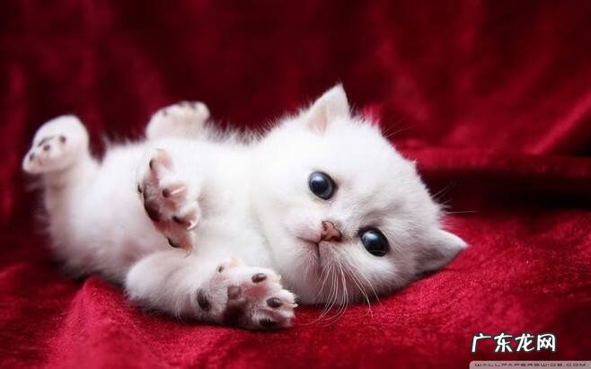 女士减肥啥最有效 女士减肥最有效方法