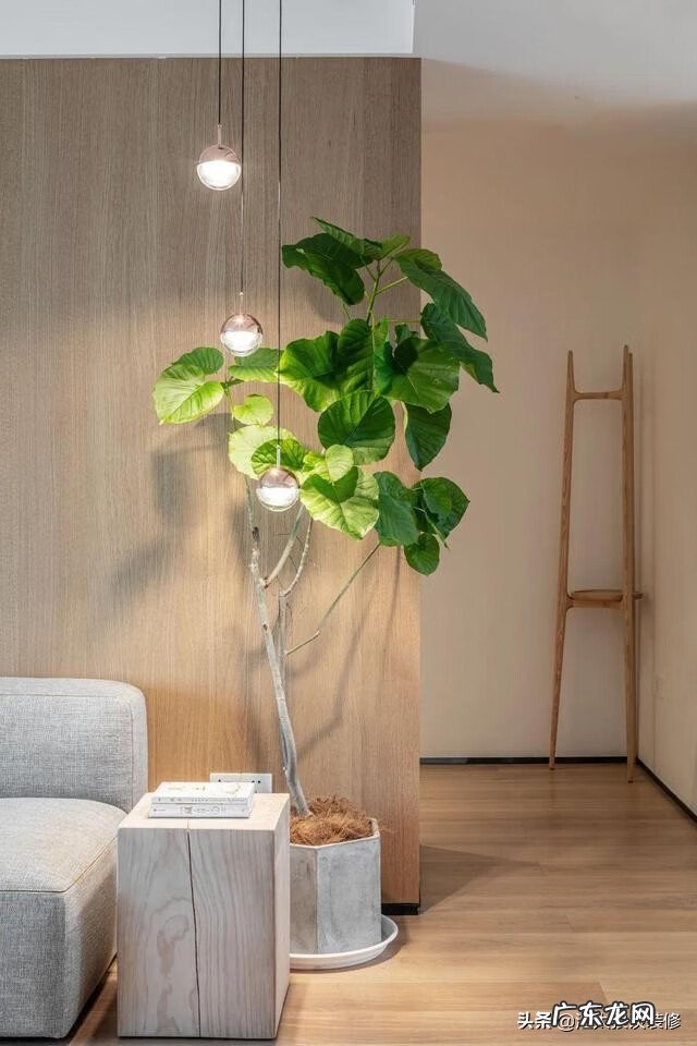 家里装白门风水好吗 橱柜白门配什么颜色的柜体