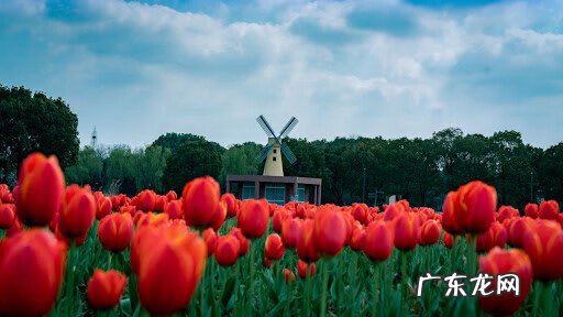 给女工福利有哪些 妇女节福利有哪些