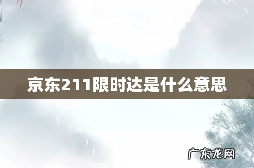 京东211限时达是什么意思