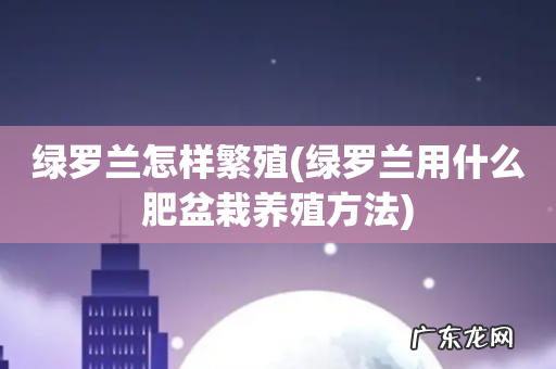 绿罗兰用什么肥盆栽养殖方法 绿罗兰怎样繁殖