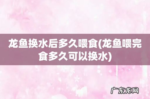 龙鱼喂完食多久可以换水 龙鱼换水后多久喂食
