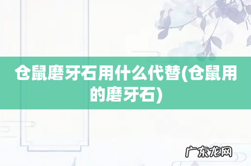 仓鼠用的磨牙石 仓鼠磨牙石用什么代替