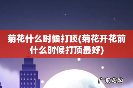 菊花开花前什么时候打顶最好 菊花什么时候打顶