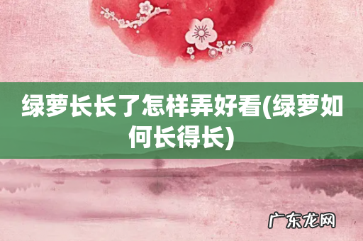 绿萝如何长得长 绿萝长长了怎样弄好看