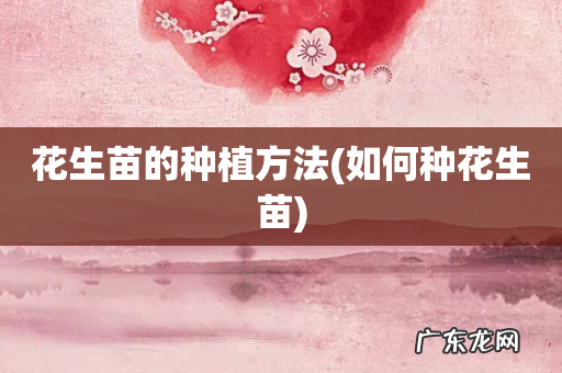 如何种花生苗 花生苗的种植方法