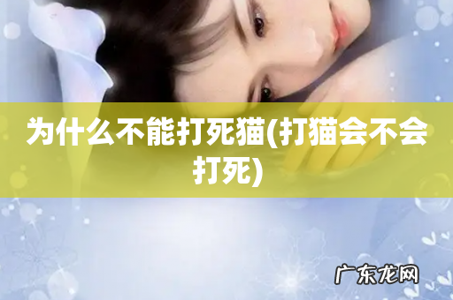 打猫会不会打死 为什么不能打死猫