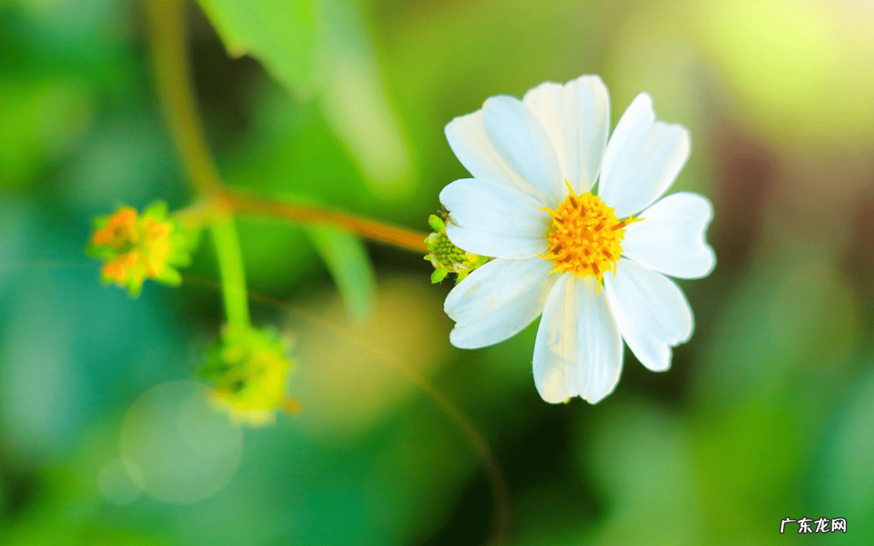 拳学中的单重是何意 风水术中穿是何意