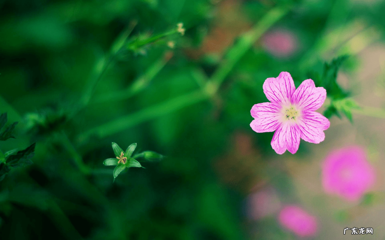拳学中的单重是何意 风水术中穿是何意