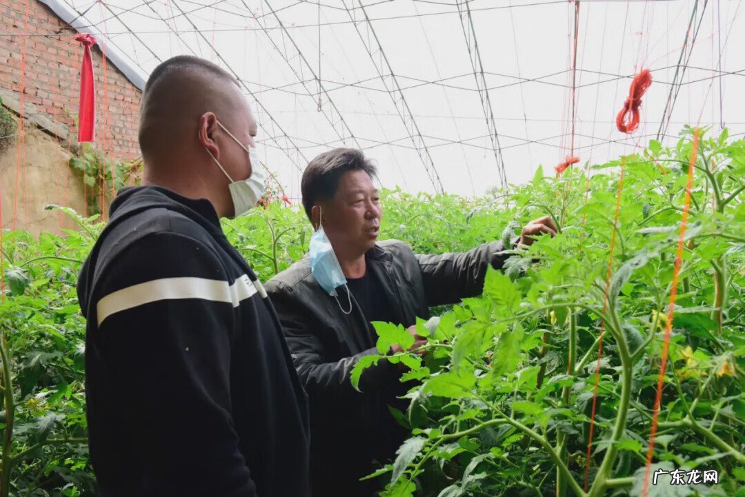 瓦房店微信群 瓦房店帮忙热线群