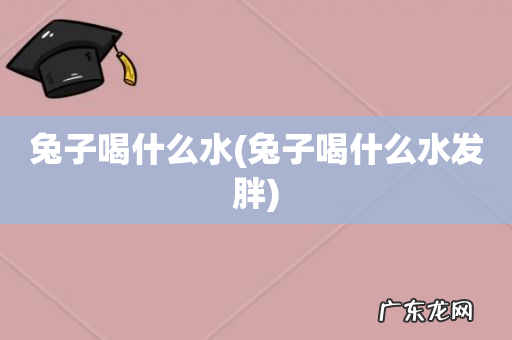 兔子喝什么水发胖 兔子喝什么水