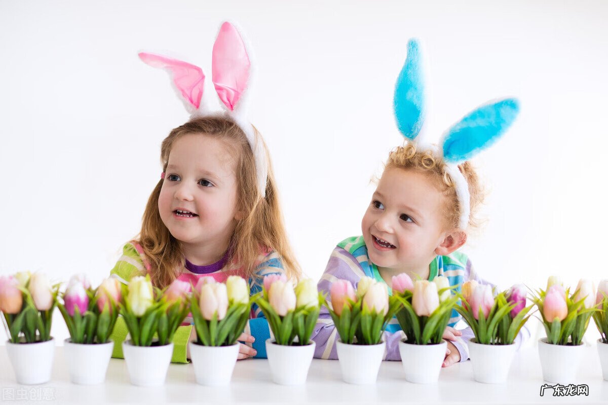 五行属木的特征是什么 哪个属相五行属木