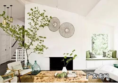 旺子女的风水 水果生意风水怎么旺起来?