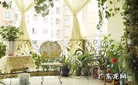 旺子女的风水 水果生意风水怎么旺起来?