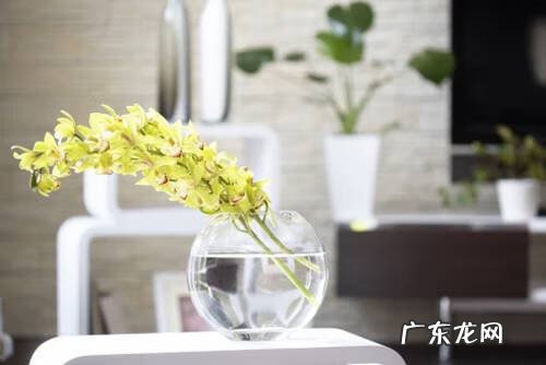 旺子女的风水 水果生意风水怎么旺起来?