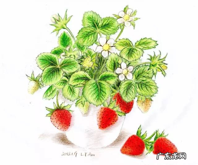 旺子女的风水 水果生意风水怎么旺起来?