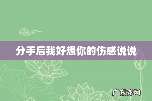 分手后我好想你的伤感说说