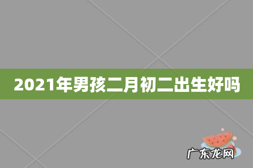 2021年男孩二月初二出生好吗