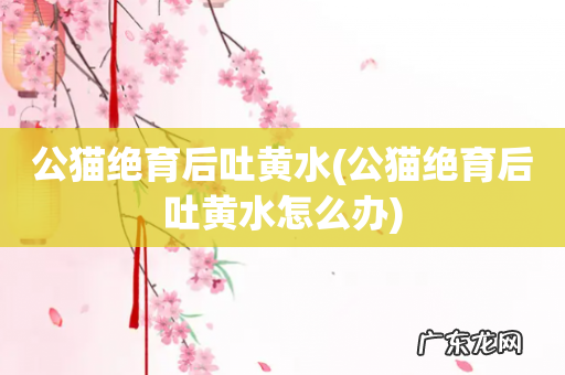 公猫绝育后吐黄水怎么办 公猫绝育后吐黄水