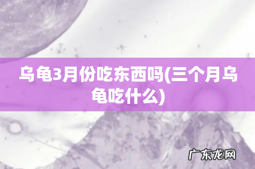 三个月乌龟吃什么 乌龟3月份吃东西吗