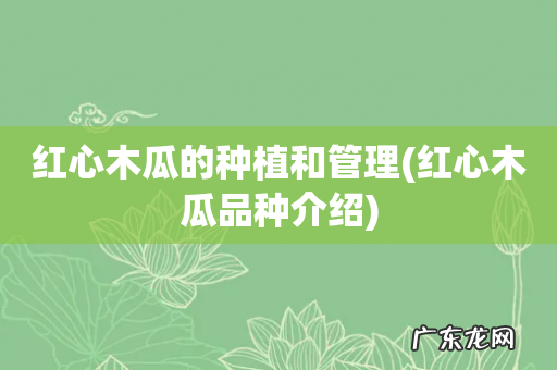 红心木瓜品种介绍 红心木瓜的种植和管理