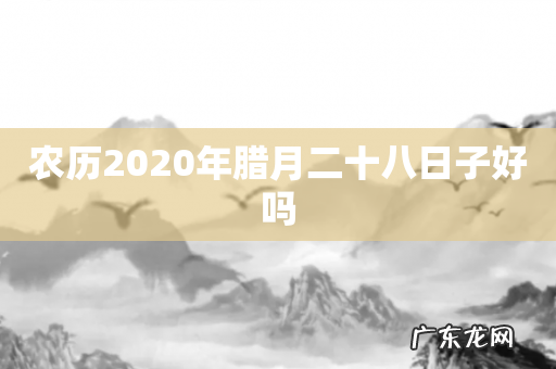 农历2020年腊月二十八日子好吗