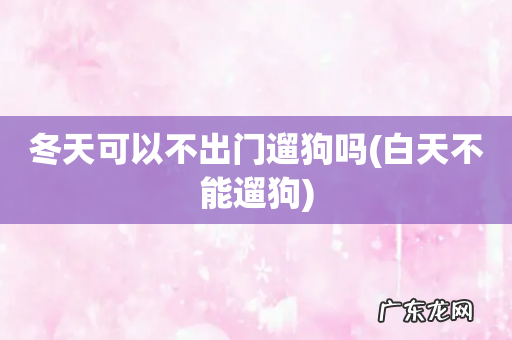 白天不能遛狗 冬天可以不出门遛狗吗
