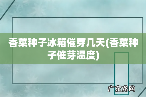 香菜种子催芽温度 香菜种子冰箱催芽几天