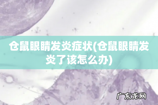 仓鼠眼睛发炎了该怎么办 仓鼠眼睛发炎症状