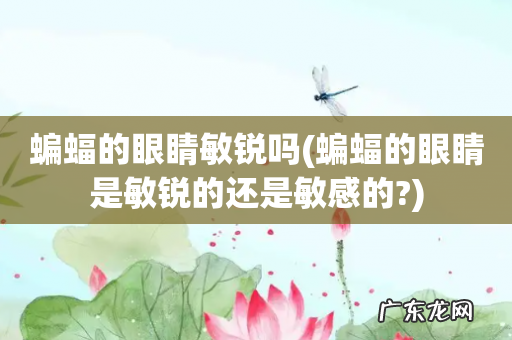 蝙蝠的眼睛是敏锐的还是敏感的? 蝙蝠的眼睛敏锐吗